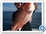 Reel Addiction Fishing Charters Panama City