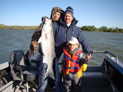 Salmonstriper San Jaoquin Delta