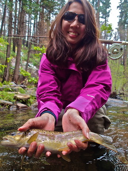 Yosemite Fly Fishing Guide Tuolumne and Merced River