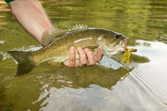 Best Fishing Guides John Day River Oregon